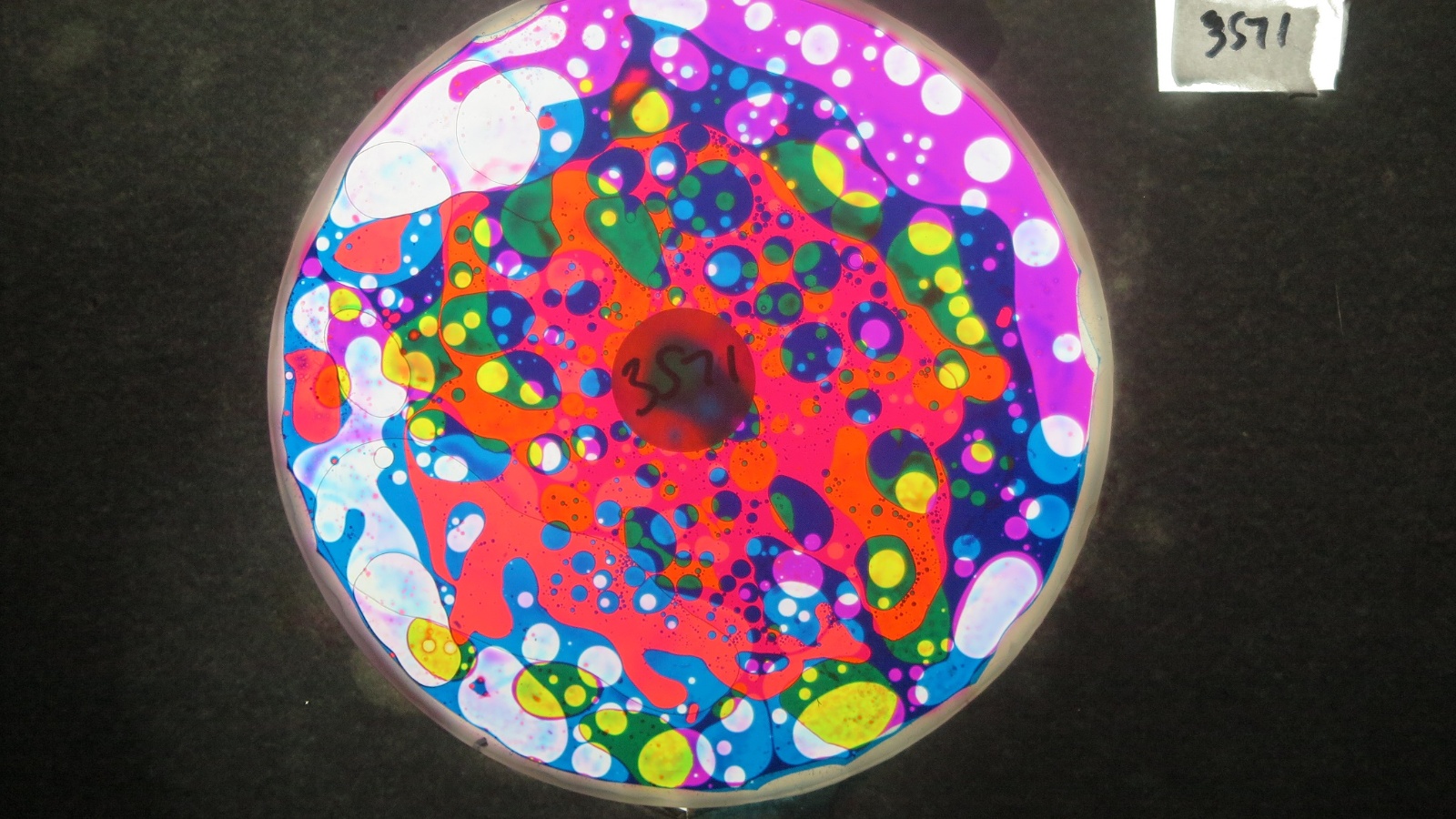 BV3571 bubble vision oil wheel